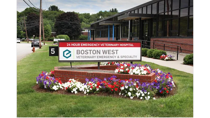 Boston West Veterinary Emergency & Specialty Picture 10