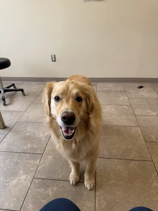 Boston West Veterinary Emergency & Specialty Picture 9