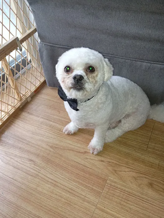 Banfield Pet Hospital Picture 4