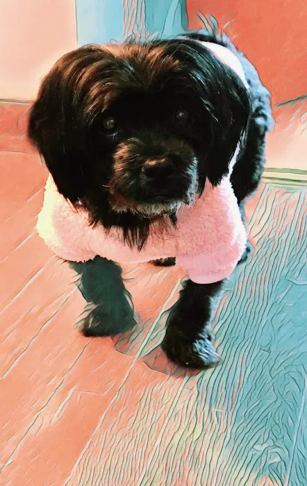 Banfield Pet Hospital Picture 7