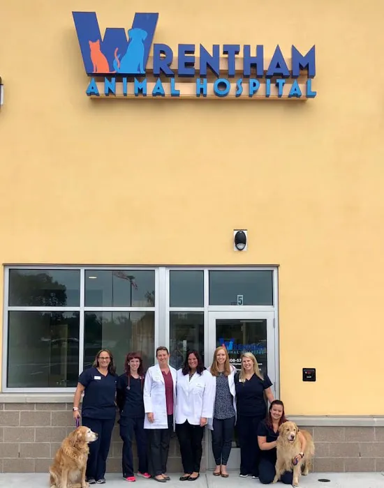 Wrentham Animal Hospital Picture 3