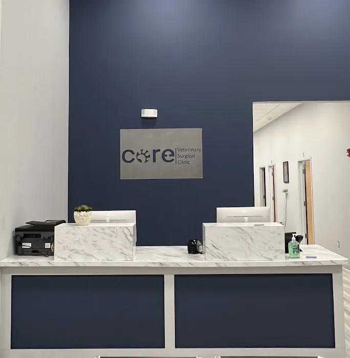 CORE Veterinary Surgical Clinic Picture 1