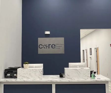 CORE Veterinary Surgical Clinic