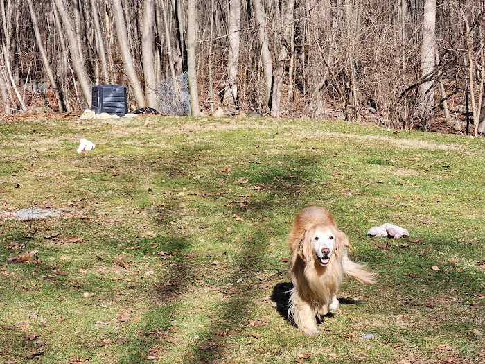 Precision Pet Urgent Care LLC Picture 7