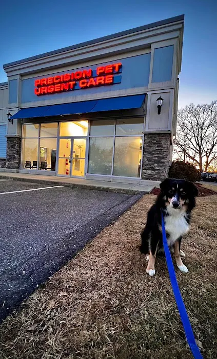 Precision Pet Urgent Care LLC Picture 10
