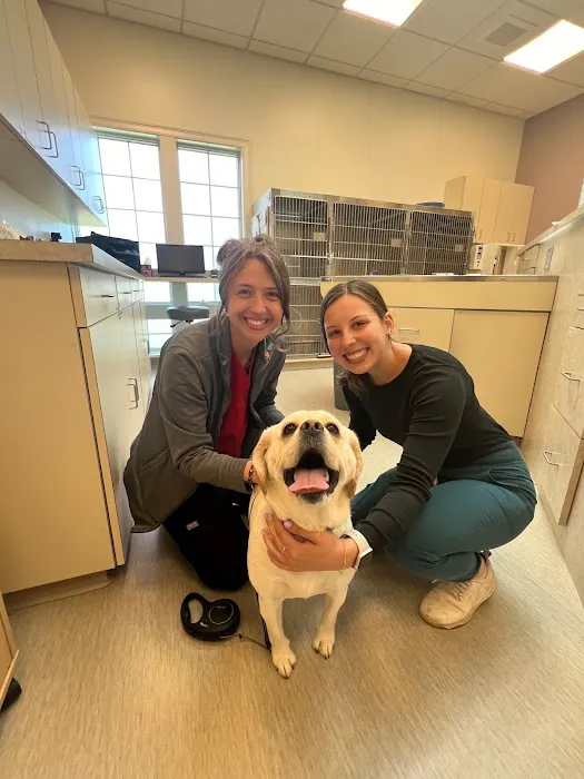 WAGS Animal Hospital Picture 8