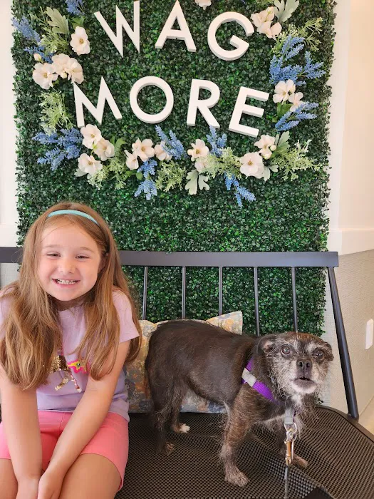 WAGS Animal Hospital Picture 7