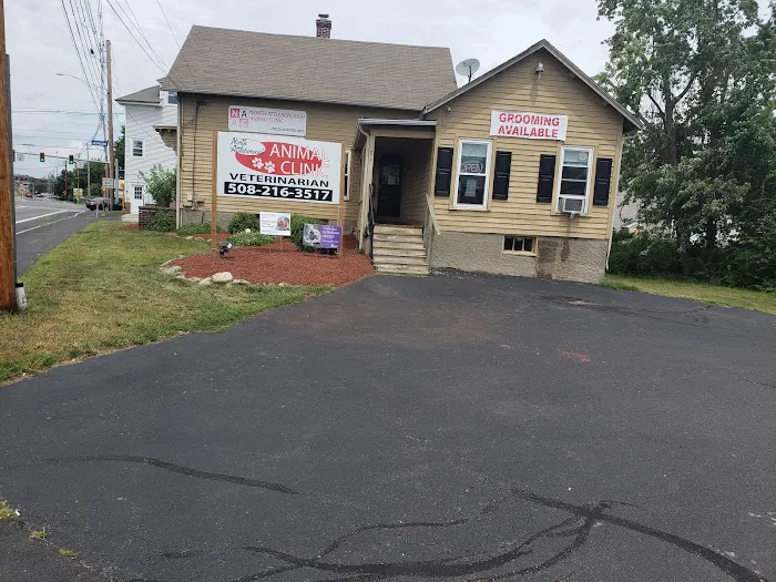 North Attleborough Animal Clinic LLC Picture 7