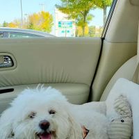 Marlboro Animal Hospital ico