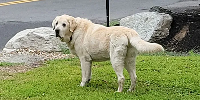 Marlboro Animal Hospital Picture 7