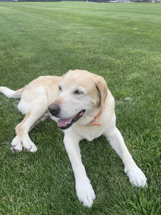 Marlboro Animal Hospital Picture 10