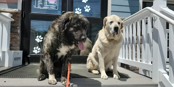 Marlboro Animal Hospital Picture 5