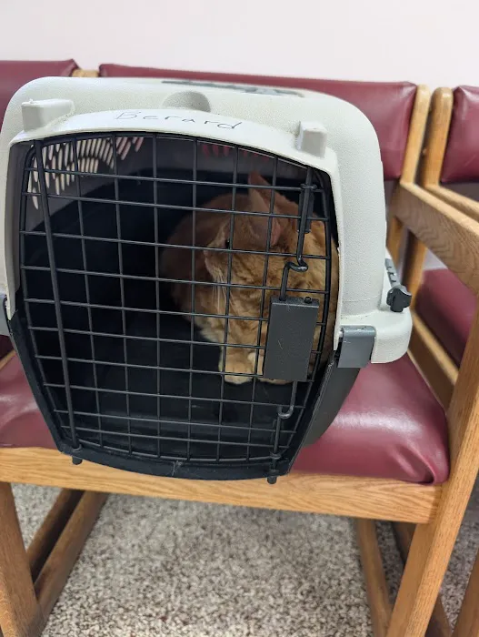 Compassion Veterinary Clinic Picture 5