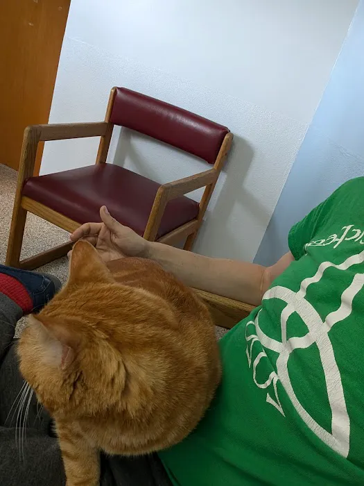 Compassion Veterinary Clinic Picture 8