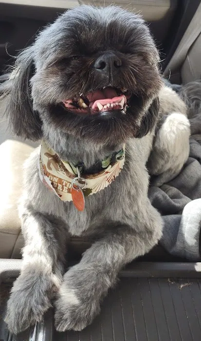 Pet Partners Inc Picture 2