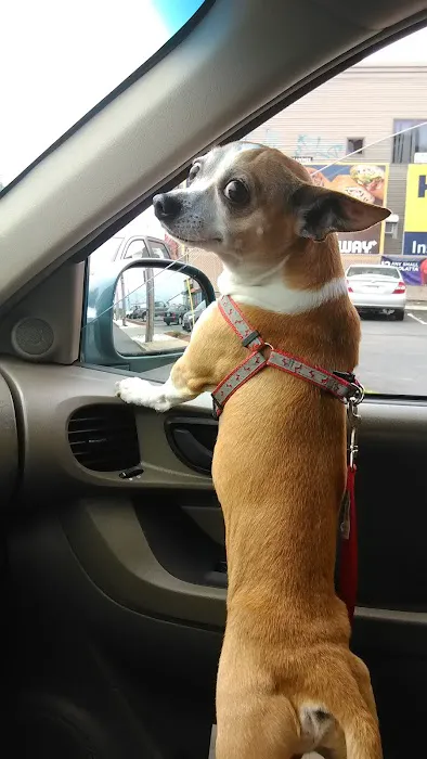 Pet Partners Inc Picture 6