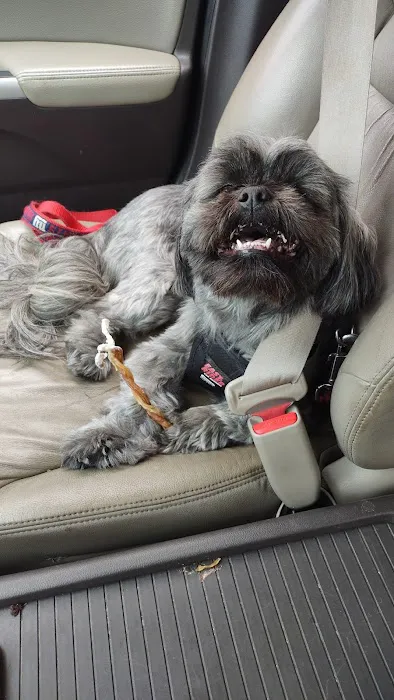 Pet Partners Inc Picture 10