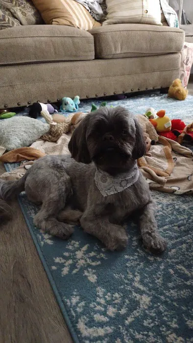 Pet Partners Inc Picture 9