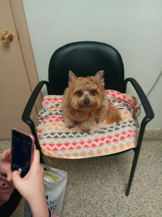 Fall River Animal Hospital Picture 9