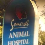 Somerset Vet clinic