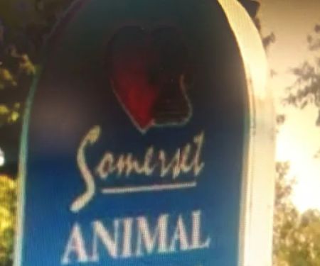 Somerset Vet clinic