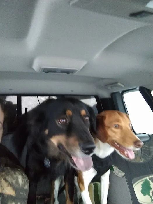 Somerset Animal Hospital Picture 2