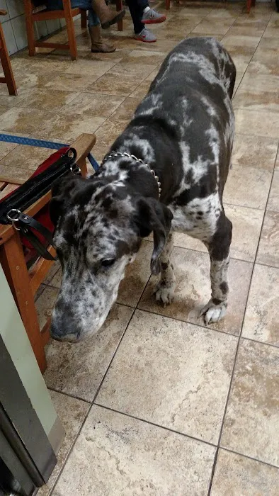 Mass-RI Veterinary ER Picture 5