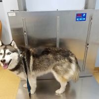 Swansea Veterinary Center ico