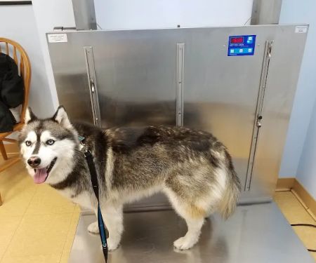 Swansea Veterinary Center