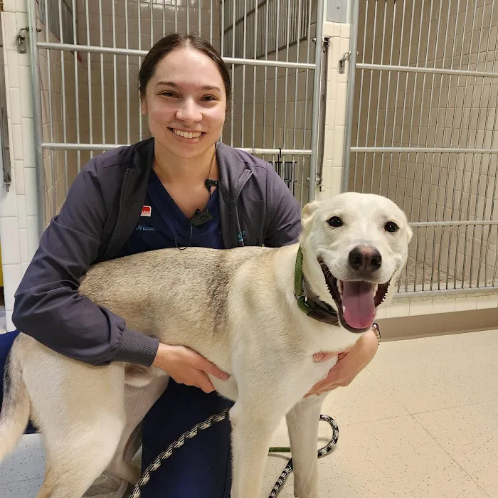 Anchor Animal Hospital Picture 10