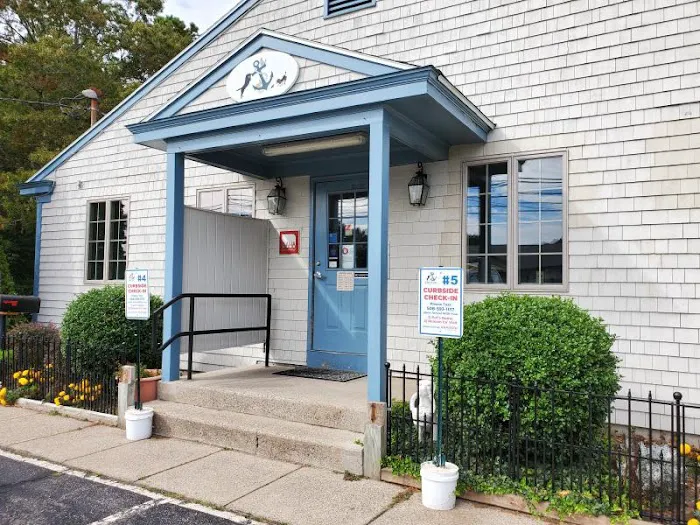 Anchor Animal Hospital Picture 8