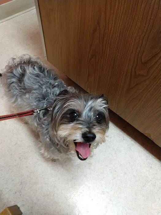 Anchor Animal Hospital Picture 6