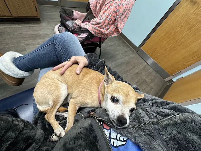 Anchor Animal Hospital Inc: Lefkowitz Katherine P DVM Picture 2