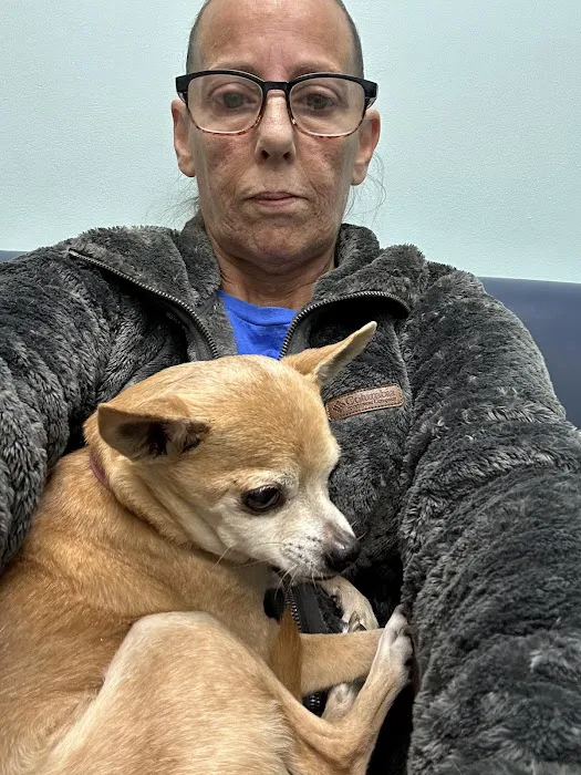 Anchor Animal Hospital Inc: Lefkowitz Katherine P DVM Picture 1
