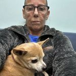 Anchor Animal Hospital Inc: Lefkowitz Katherine P DVM