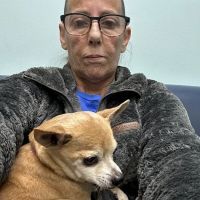 Anchor Animal Hospital Inc: Lefkowitz Katherine P DVM ico