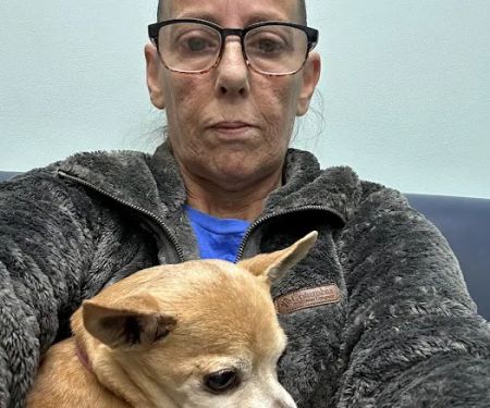 Anchor Animal Hospital Inc: Lefkowitz Katherine P DVM