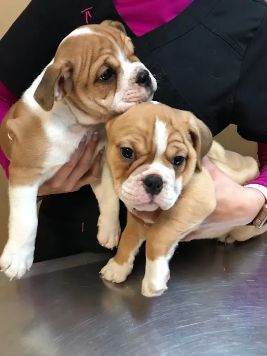 TLC Veterinary Hospital Picture 4