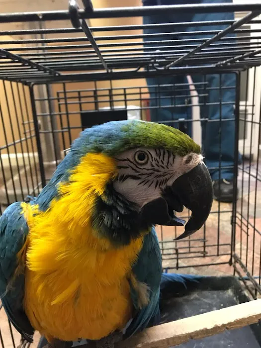 TLC Veterinary Hospital Picture 7