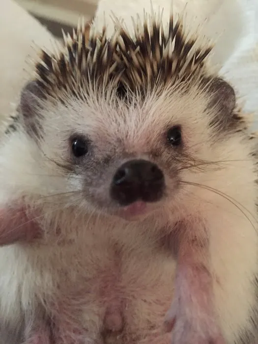 TLC Veterinary Hospital Picture 10