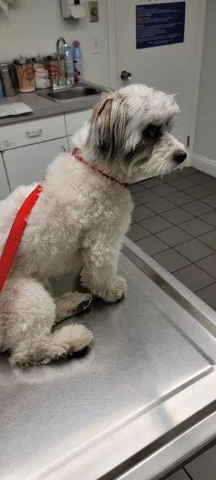 Gansett Animal Hospital Picture 5