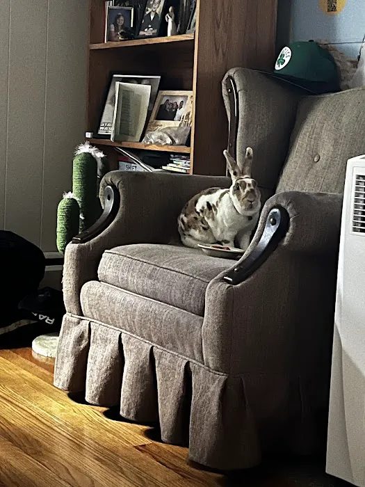 Gansett Animal Hospital Picture 3