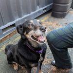 Gansett Animal Hospital