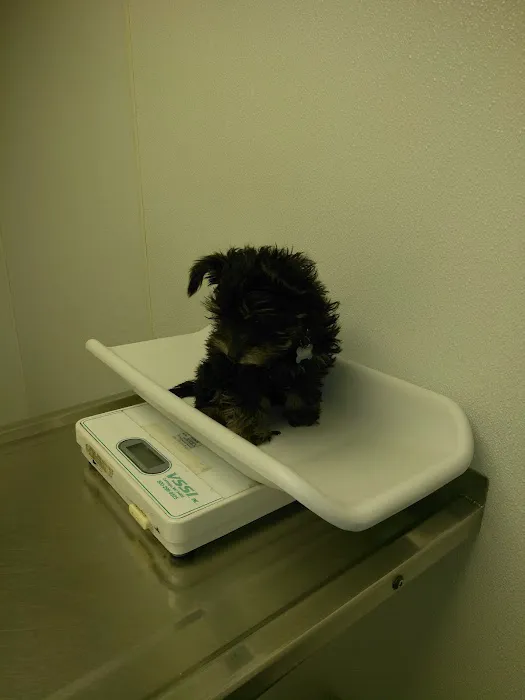 Gansett Animal Hospital Picture 8