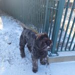 Central Avenue Veterinary Clinic