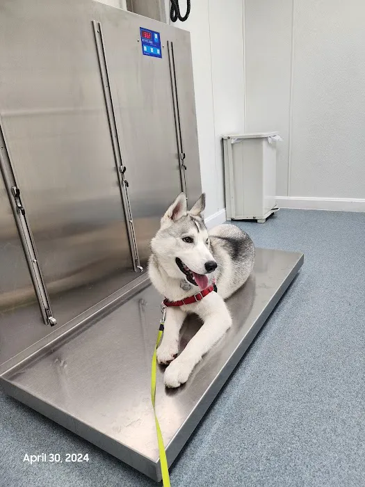 Central Avenue Veterinary Clinic Picture 4