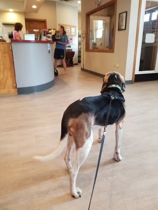 Hudson Animal Hospital Picture 7