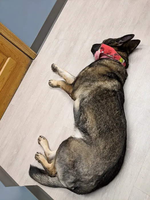 Hudson Animal Hospital Picture 6