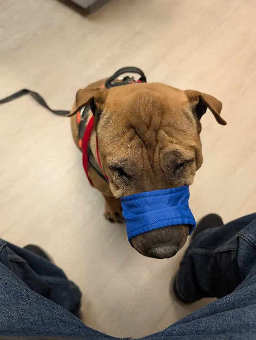 Hudson Animal Hospital Picture 9
