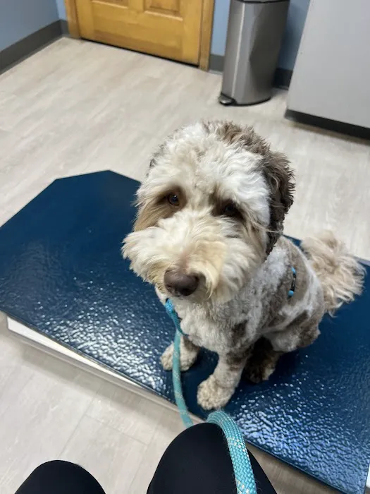 Hudson Animal Hospital Picture 4